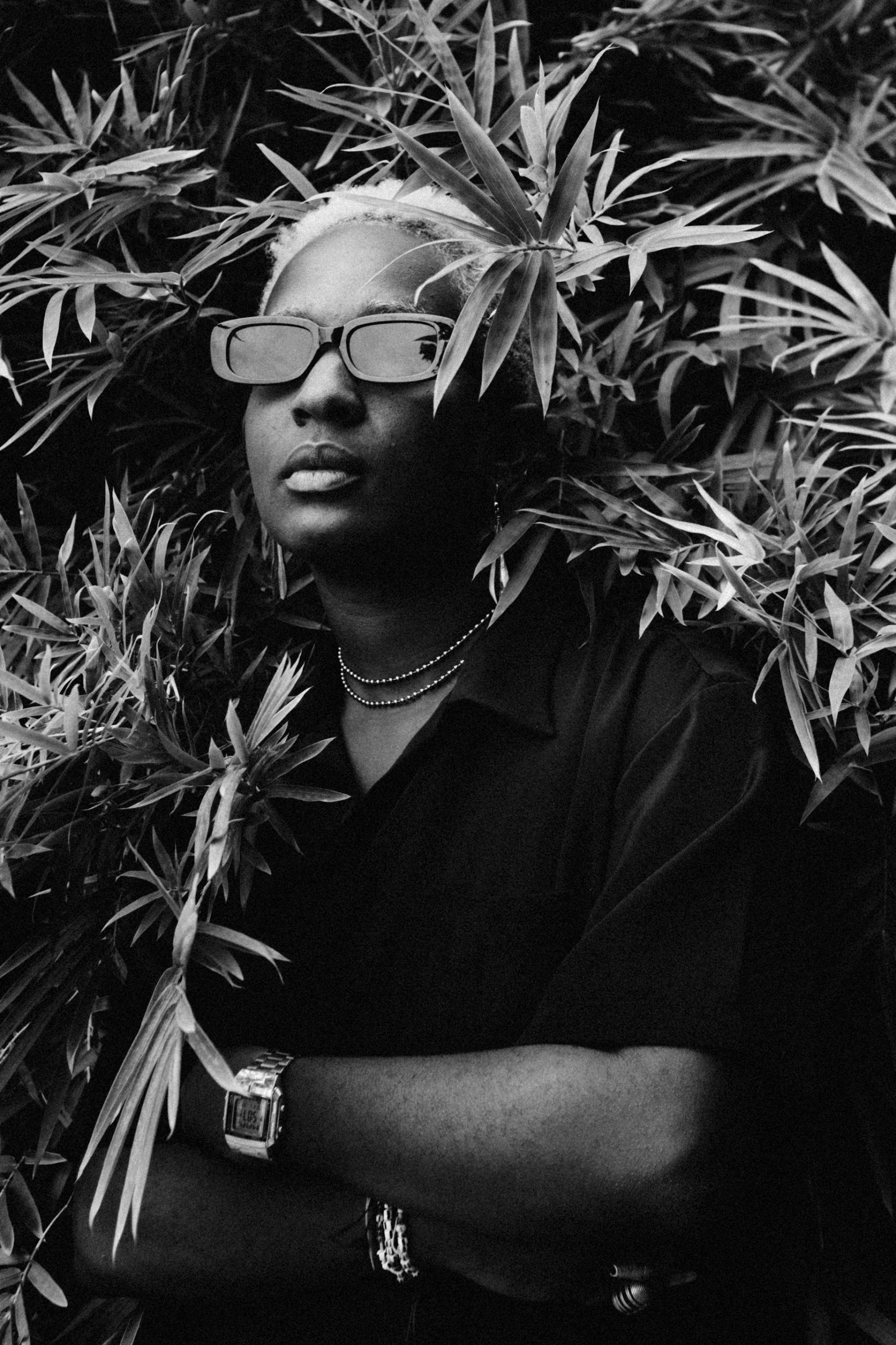 Bubu Ogisi
